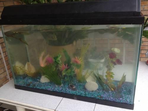 Used Fish Tank With Accessories