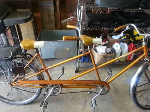 vintage schwinn twinn bike for sale