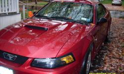 2003 MUSTANG, LOW MILEAGE, PONY PACK ,NEW TIRES RUNS GREAT, DRIVEN DAILY
PLEASE CALL 315-493-1893 ANY TIME SEE PICTURE