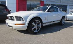 2007 Ford Mustang Coupe Premium
Our Location is: Nissan 112 - 730 route 112, Patchogue, NY, 11772
Disclaimer: All vehicles subject to prior sale. We reserve the right to make changes without notice, and are not responsible for errors or omissions. All
