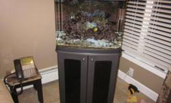 20 gallon fish tank for sale. It comes with the metal stand (could use a new paint job), and fish tank lid with light. I have other fish tank items such as heaters, ph test kits, accessories and more. Send me an email and I will find what you are looking