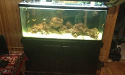 I have a beautiful working salt water tank fish that's in great working condition that has everything it needs a wooden stand with doors to store stuff under also live coral rocks that come with it also it has the light projector that alone cost 400 that