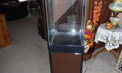 ALMOST NEW 10 GALLON UPRIGHT FISH TANK WITH CABINET, FILTER AND HEATER. PLEASE CONTACT ME AT EMAIL OR CALL 523-4221