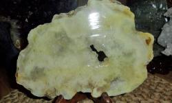 This Beautiful Kentucky Geode cut Slab comes from Boyle County, Kentucky. The color of this beautiful 2 tone Crystal Yellowish White. The back of the slab is more White. The Slab has Polyurethane High Gloss finish. This Geode is Unique and Perfect with