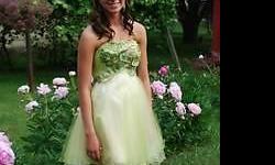 Top beaded Green mini, made by Night Moves. was $425 on sale for $200. Size 8 on the label, but that is way off. My daughter was a size 4. Love this dress, like a princess dress. great beading, and multi layer tulle with different shades makes it so