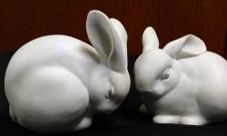 Because we're downsizing, we're selling our favorites Easter decorations, including these adorable bunnies. They stand about 11 inches tall and look great on an Easter buffet table or dining room table. Email, call or text if you're interested.