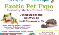 Maria's Birds & Exotics would like to invite you to attend our Exotic Pet Expo! It's only $3.00 to enter. There will be lots to see and buy. We'll have a large chinese auction and 50/50 raffle.
+++ We are still looking for vendors to fill the space ++++