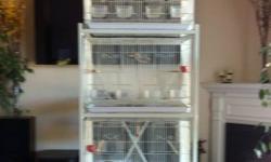 32W x 21D x 37H ... 61.5H with stand
$100.00
Mint condition, only used through the summer. Breeder doors on each side. No feeding doors.
Accessories in picture, nest box, etc not included. This is just for the cage.
Would be great for some keets, a couple