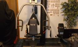 This is a seldom used high quality home gym. I've had it for about 6 years but it is in like new condition, with no rips, tears, or rust. The weight stack goes up to 200 pounds. What makes this gym unique is that the cabling system is rigged so that the