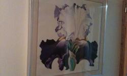 Big, Beautiful Iris Serigraph. Vibrant colors, Artist Proof. The print & frame are in excellent condition but it should be re-matted as the mat has slightly discolored in places. Check the pics.