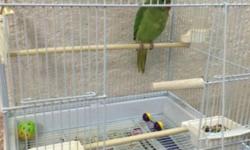 Hi today iam selling a large bird cage sutable for cockatoos and parakeets and other medium to small birds
Iam asking for 80$
I bought this for 150$
Includes cage and food bowls
Contact me at: 1-347-498-5363 text/call