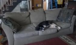 I am putting this ad up for a friend. It is a large sofa close to 8 ft long, and a matching chair. It is a dirt brown color..
They are well used, but they still have a lot of life left to them. I have recently washed the removable seat covers, which are