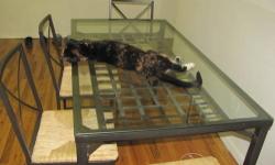 This glass top IKEA table (and four chairs) has long been neglected and needs someone who will love it and appreciate it more than we do. Rescue this table today. (Cat not included)
The only catch is you have to come to Woodside, Queens to pick it up.