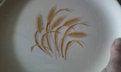 I am trying to complete or get pieces as I find them of the GOLDEN
WHEAT china. Many have been broken or misplaced over the years
and I would love to get place settings and other pieces to hopefully
complete the service. If you have any please call me at