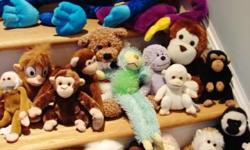 This is a nice assortment of stuffed monkeys -- many colors and sizes.
These twenty (20) monkeys range in size from 5" up to 30" from several different manufacturers, including Beanie Baby.
Some are "huggers" with Velcro on the hands to clasp around your