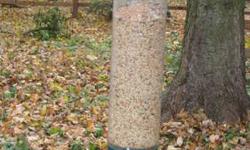 Motorized squirrel proof bird feeder! Birds love to eat from it, but grey squirrels are prevented from eating from it in a way that will make you smile. The weight activated feeding perch is calibrated to react to a squirrel's weight. When a squirrel
