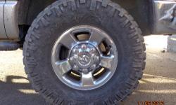 Nitto Trail Grappler M/T Tires 35/12.50 R17
Front Tires have 10/32 tread
Rear Tires have 14/32 Tread
On a dodge ram 2500
Askin $500 OBO THIS IS ONLY FOR THE TIRES
if intersted call/text 607- four three four- four 1 seven 0