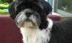 must part for health reasons and moving.....This old type Lhasa Apso has been looking for a retirement home for some time now.....He is neutered and will be 10 this August. He is crate trained and up to date on vaccinations. He is a typical senior .
If