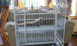 We have an established parrot breeding aviary that we need to sell. We will offer livestock,equipmentand a customer that takes all we raise at a fair wholesale price and equipment. There are:
Three proven pairs of Cockatoos 2 prs. Umbrellas,1 pr.