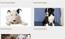 Purebred Cats & Dogs For Sale - $500
$700 store-credit at Westchester Puppies & Kittens. It is a luxury pet store that sells and provides other services for Exotic or Purebred Puppies and Kittens.
From tea cup/toy, small, mid, large-size, bulldog, to