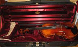 Full-size violin, suitable for intermediate to advanced intermediate violinists. Model SV 1000, made by the Shen Musical Instrument company in Suzhou, China. It is hand carved of solid wood using flamed maple for the back, sides and neck, and spruce for