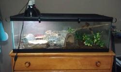 40 gallon snake tank. Comes with 3 medium sized fake foliage, 1 medium water dish, 1 large log dwelling, 1 large piece of drift wood, 1 small piece of drift wood,1 75 watt red heat bulb with lamp, and 1 50 watt UV coil bulb with lamp. All intact and