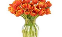 INCLUDES:
1 Spring Garden Glass Vase Large 11"High and 5 3/8"Opening
FEATURES:
Simple and graceful, this spring garden glass vase is sure to brighten the appearance of any tabletop decoration. Use as a Vase, Candle Holder or Bowl. Simply place your