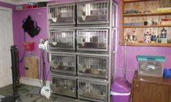 Hello, I have a set of 8 Stainless Steel rabbit cages for sale with rack, feeders, and water nipples and lines. Just connect to water line. I used these cages in my grooming shop. Can be used for show/pet rabbits also. Will Never rust!! See pics
