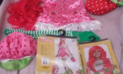 Strawberry Shortcake Halloween Costume w/ Wig & Trick or Treat Bag / Purse
( Junior Small - Fits Dress Size 3-5 ) Young Adult
$35 obo
Pick up only in Middle Village Queens, New York near M train and Q54 bus
Make sure you email with contact number or you
