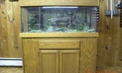 its a 35 or 45 gallon tank with screened lid,lamp for heat,a calcium light, and 2 heat pads that can be placed inside or outside the tank. it was used for a lizard so im not sure if it holds water because i've never tried i am asking 150 obo for