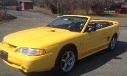 Very Rare & Hard To Find 1998 Ford Mustang SVT Cobra Convertible with ONLY 19,400 miles !!! ALL ORIGINAL
CALL LARRY TODAY 516-527-4731 YOU WONT FIND ONE BETTER OR CLEANER
Always kept in SHowroom Condition ! Please Dont call with any lowball offers
THE
