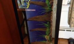 55 gallon fish tank with wooden stand ,lights pumps , and other accessories please only serious buyers