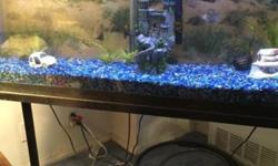 Hello 4 sale is a pre-owned 55 gallon fish tank that comes with all accessories including air filters, food, motor and so forth... I've had the fish tank for about 10 years.. There are some signs of wear and tear.. Overall it was kept in good condition