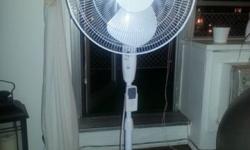 Large stand up fan with 3 different speeds and timer settings (1, 2, 4 hours) and remote control! Fully functioning. Bought last summer.