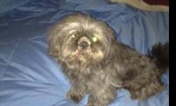 Please check out the facts people!!! These breeders are not breeding to standard and these pups can have many health problems!
See website to verify:
http://americanshihtzuclub.org/imperial
"Imperial" Shih Tzu
THE FACTS ABOUT "IMPERIAL" OR "TEACUP" SHIH