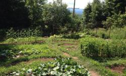 ORGANIC VEGETABLE GARDENER
WILL TRANSFORM YOUR OVERGROWN PLOT
INTO A BEAUTIFUL AND PRODUCTIVE ORGANIC VEGETABLE GARDEN.
BASED IN ELLENVILLE, CAN WORK ANYWHERE ALONG ROUTE 209
(ELLENVILLE, NAPANOCH, WAWARSING, KERHONKSON, ACCORD, STONE RIDGE, HURLEY AND