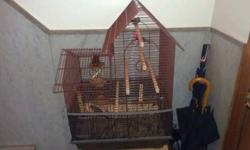 A Pair of Red Crested Finches and A Pair of Bronze Canaries. Also includes bird cage.
This ad was posted with the eBay Classifieds mobile app.
This ad was posted with the eBay Classifieds mobile app.