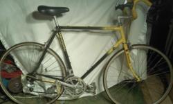 Panasonic DX 3000 vintage racing bike, circa 1986.
Size: Seat Tube is 23" (C to T), Top Tube is 22" (C to C)
Condition: Very Good (hey, its been awhile, but its been ridden)
Factory Specifications:
> Frame: Tange 900 Cr-Mo double butted tubes, forged ends