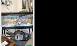 Hello for sale is a pre-owned square fresh water fish tanke. The tank comes with a complete setup which includes an iron stand, food, air filters, motor, gravel.
this item is pick up only