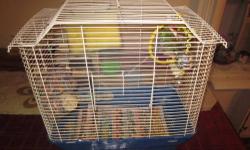 Hello Everyone :)
I have some beautiful variety of birds that need new homes.
1. A bonded breeding pair of parakeets Female is pure white and Male green with some
yellow. Birds come with a medium size cage with all accessories included.
2. I have 3 White